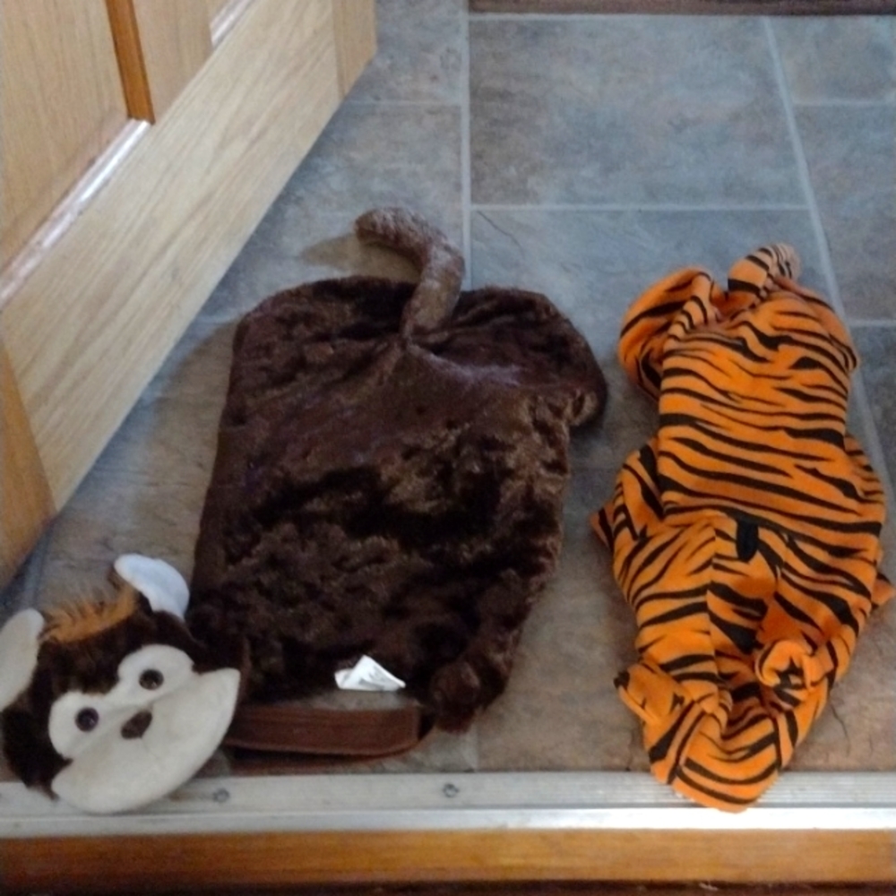 Pet costumes